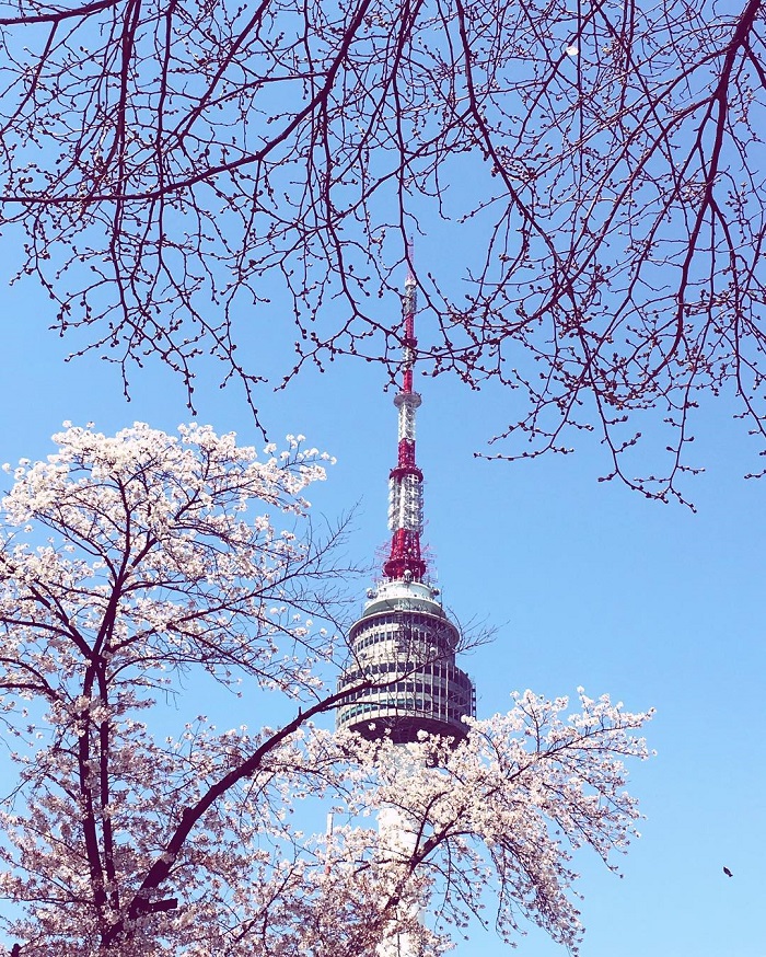 Tháp Namsan vào buổi sáng