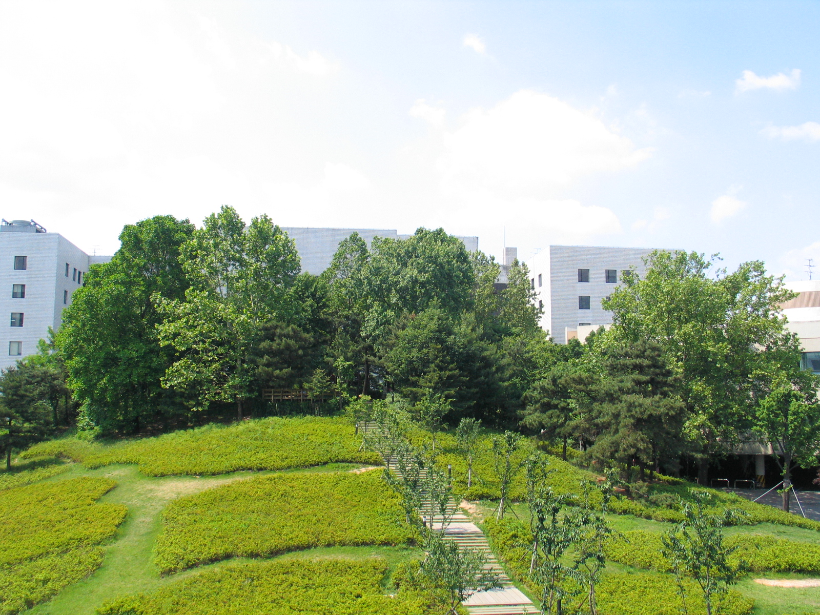 Đại học Korea